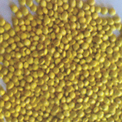 sarı-kopolimer